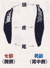 かつお節の削る方向